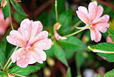 重生娱乐被取消的《星战》FPS首批细节曝光